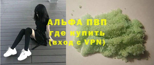 индика Лабытнанги