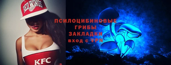 индика Лабытнанги