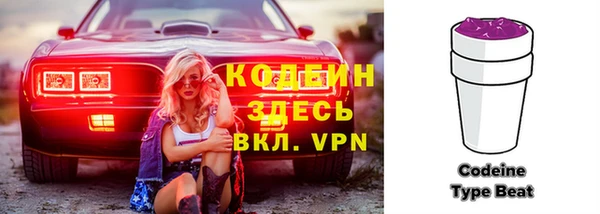 индика Лабытнанги