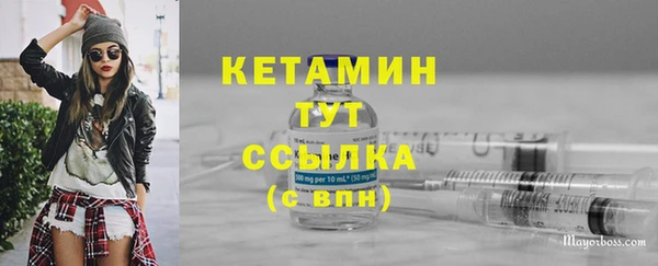 индика Лабытнанги