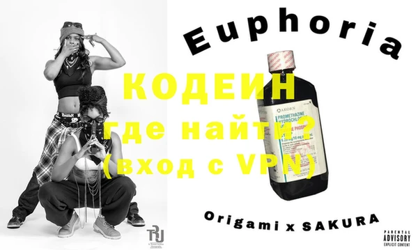 индика Лабытнанги