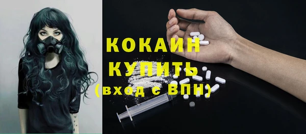 индика Лабытнанги
