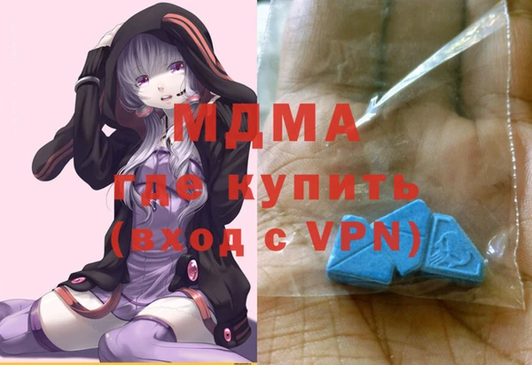 индика Лабытнанги