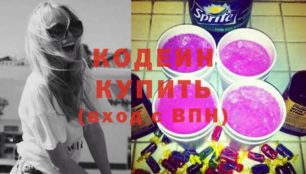 индика Лабытнанги