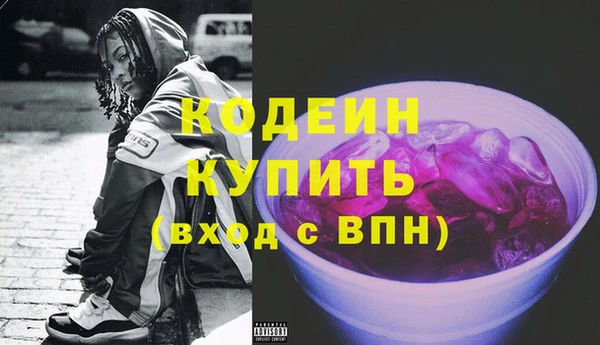 индика Лабытнанги