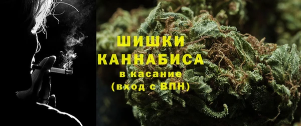 индика Лабытнанги