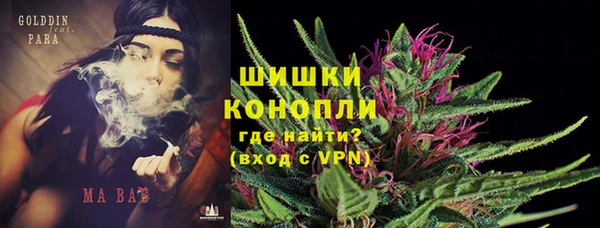 индика Лабытнанги