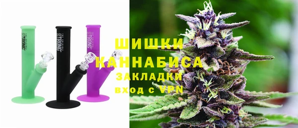 индика Лабытнанги