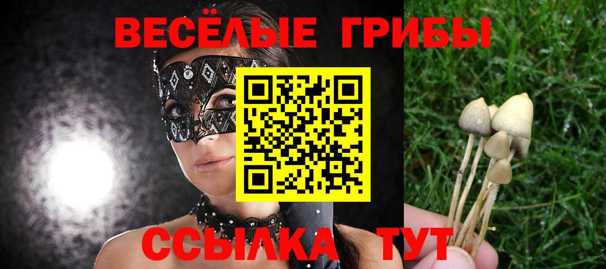 Галлюциногенные грибы ЛСД Чайковский