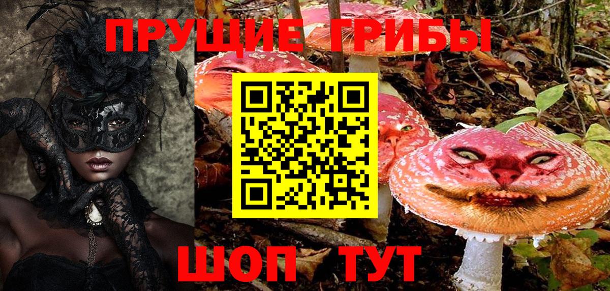 Галлюциногенные грибы Psilocybe  Галлюциногенные грибы Cubensis  Вход с VPN  Чайковский 